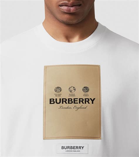 burberry t-shirt collar|Burberry shirt discount.